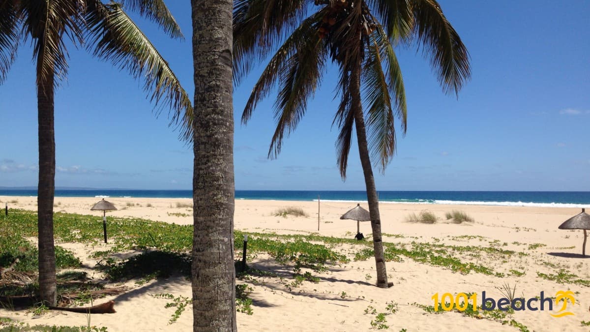 O Que Levar na Mala para uma Aventura em Vilanculos ou Inhaca?